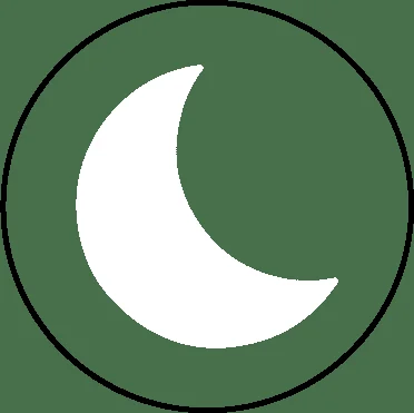 Theme toggle icon
